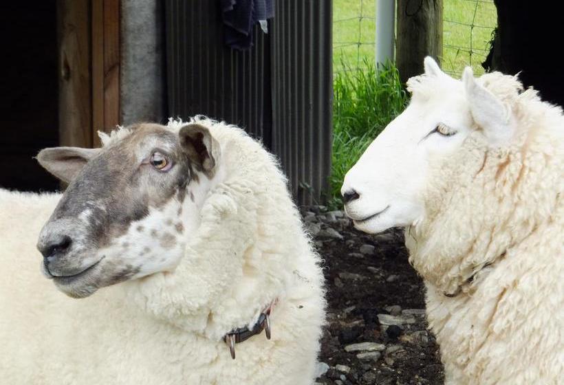 Ropatinis Homestay B&b 14