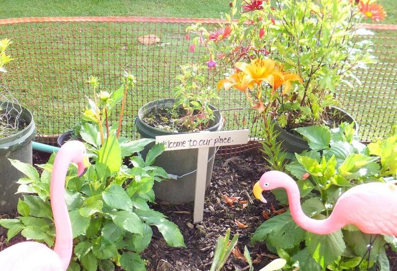 Ropatinis Homestay B&b 3