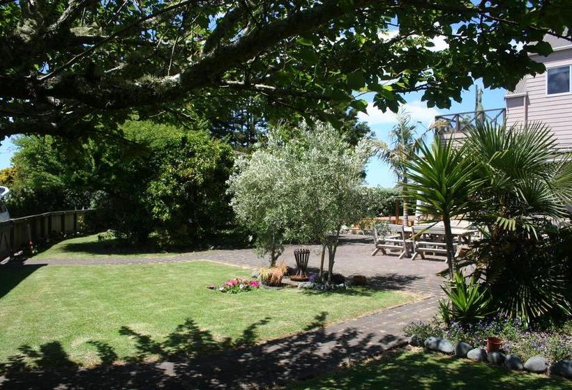 Whitianga Bed & Breakfast 9