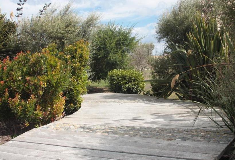 Hostel Old Bones Lodge 5