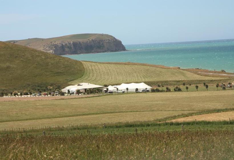 Hostel Old Bones Lodge 9