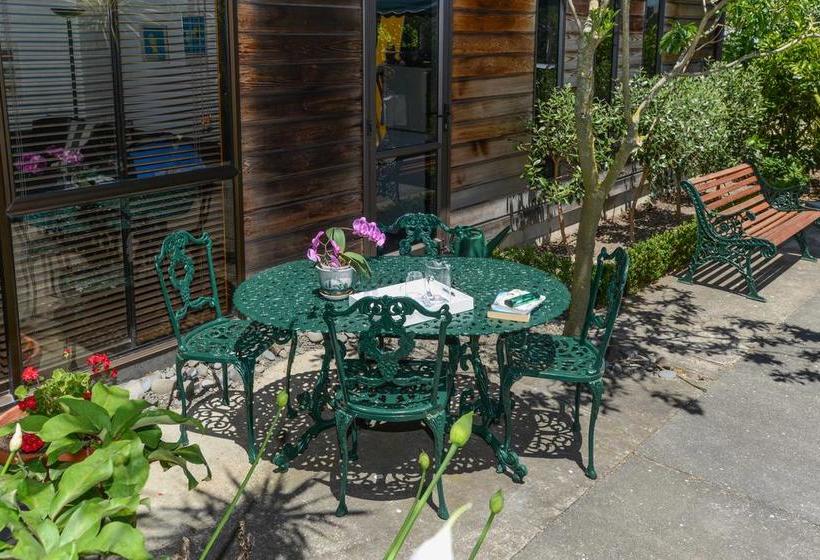 Absolute Beachfront B&b 12