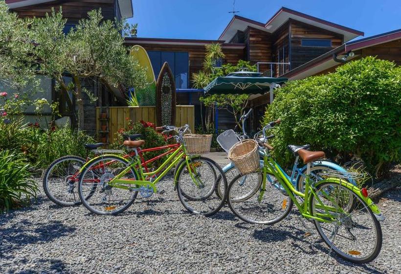 Absolute Beachfront B&b 13