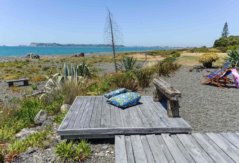 Absolute Beachfront B&b 7