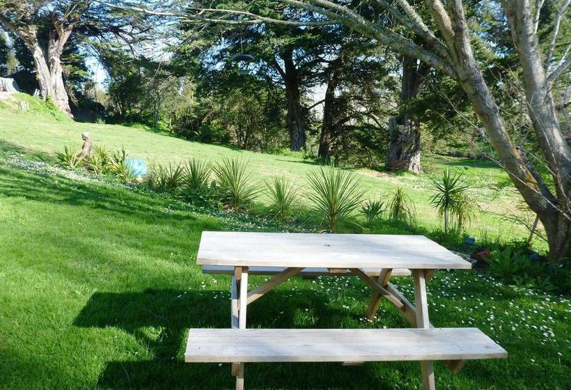 Motel Drury Motor Lodge 19