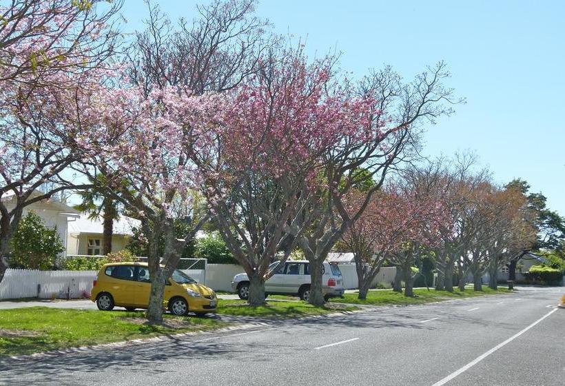 Peppertree Bed & Breakfast 15