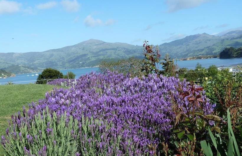 L Abri Bed And Breakfast 11