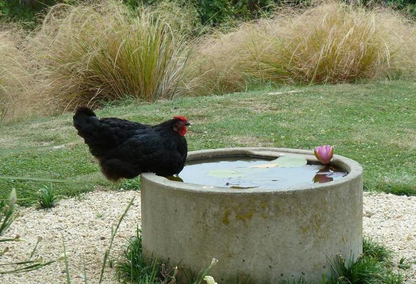 L Abri Bed And Breakfast 17