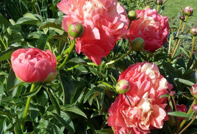 L Abri Bed And Breakfast 8