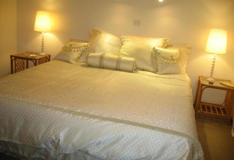 Rosalie On Albert B&b 14