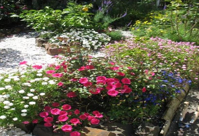 Rosalie On Albert B&b 17