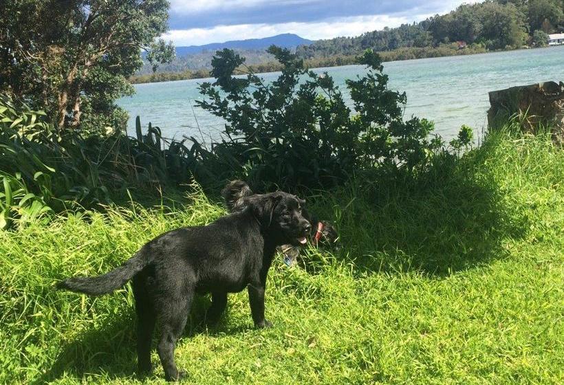 Rosalie On Albert B&b 7