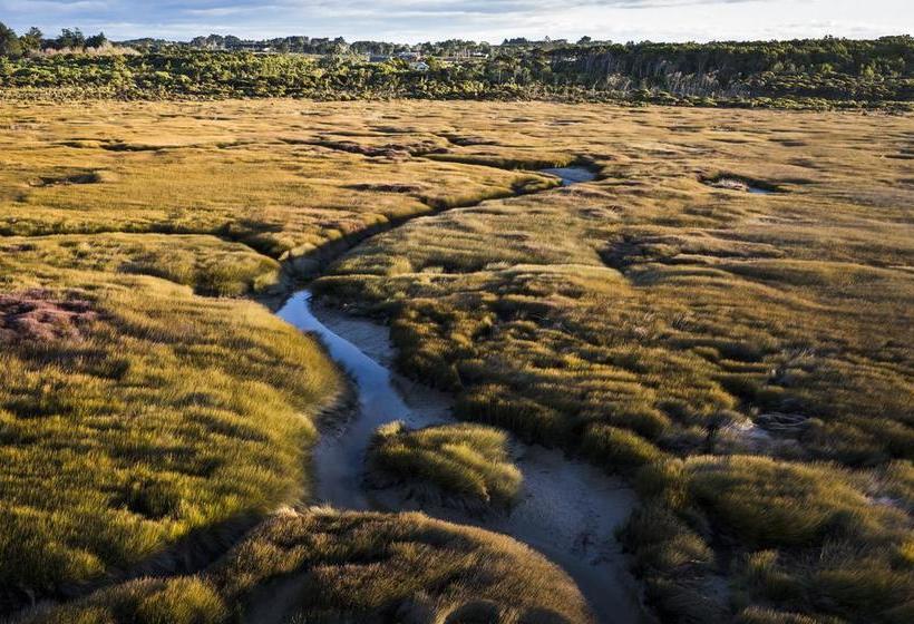 Bushy Point Fernbirds B&b