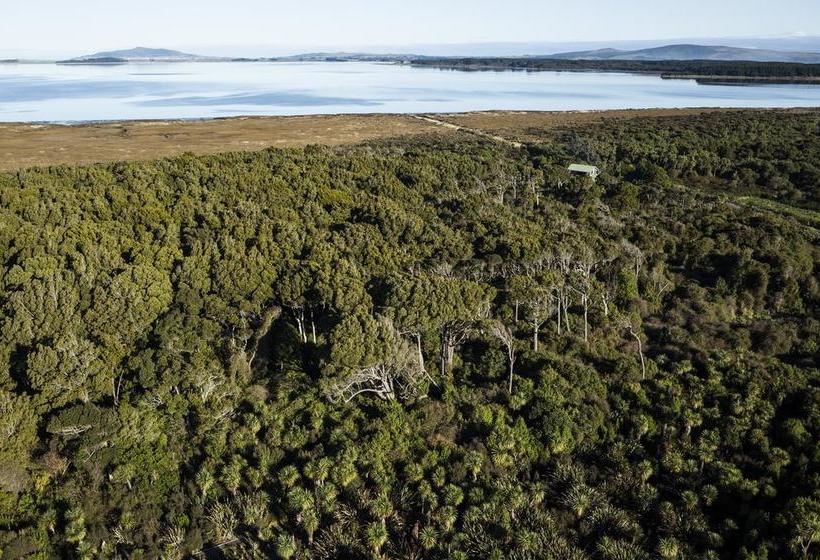 Bushy Point Fernbirds B&b 1