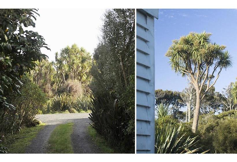 Bushy Point Fernbirds B&b 10