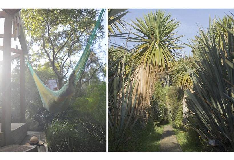 Bushy Point Fernbirds B&b 11