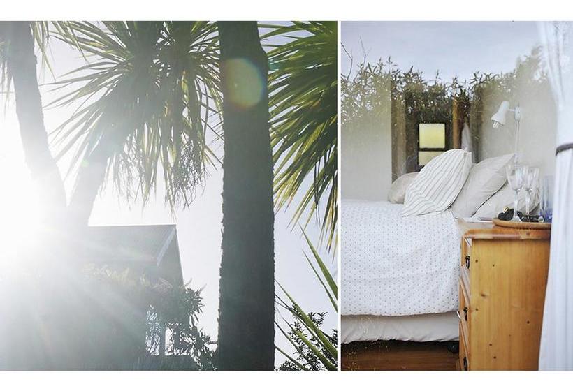 Bushy Point Fernbirds B&b 12