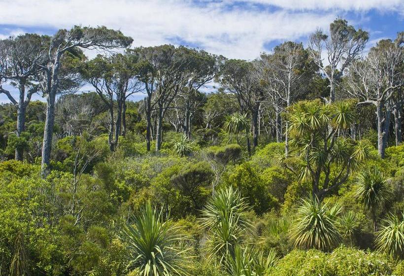 Bushy Point Fernbirds B&b 15