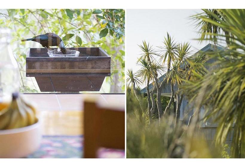 Bushy Point Fernbirds B&b 8