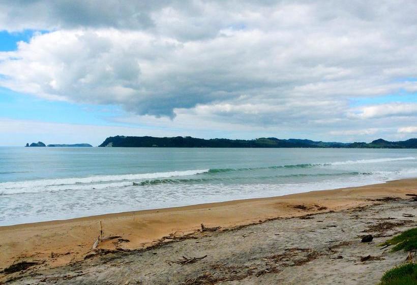 Absolute Beachview B & B 1