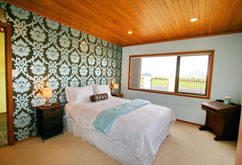 Absolute Beachview B & B 10