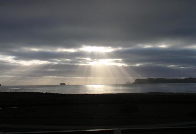 Absolute Beachview B & B 11