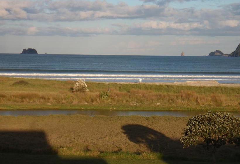 Absolute Beachview B & B 14