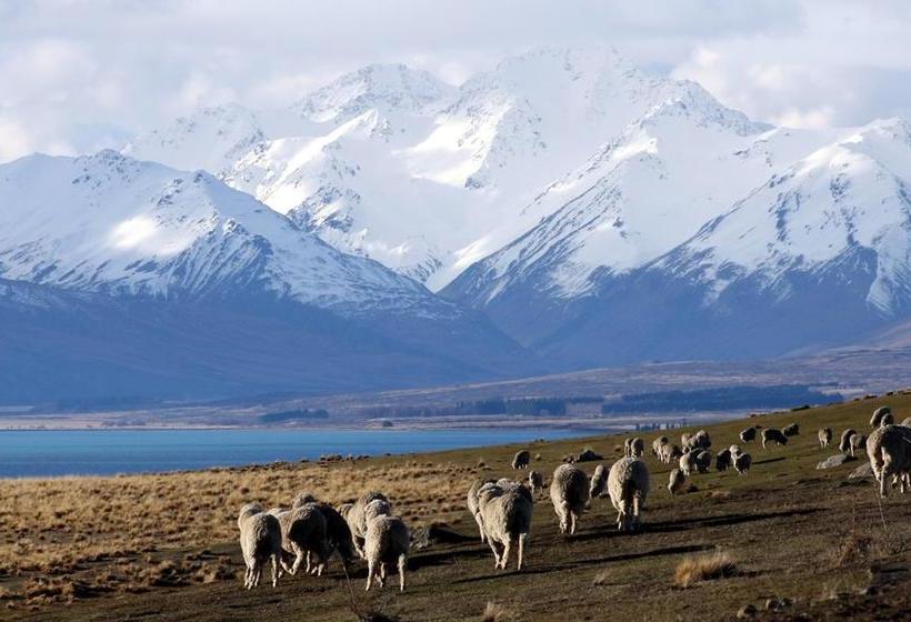 Hostel Tailor Made Tekapo Backpackers 6