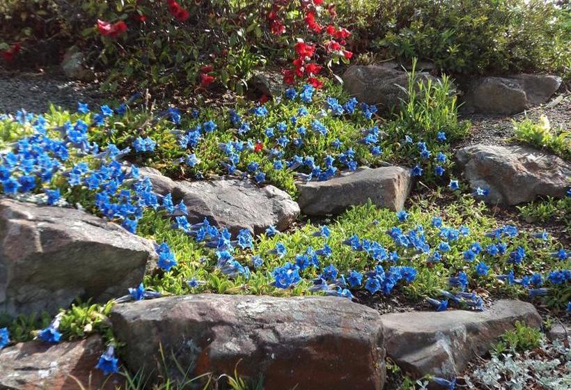 Hostel Tailor Made Tekapo Backpackers 7