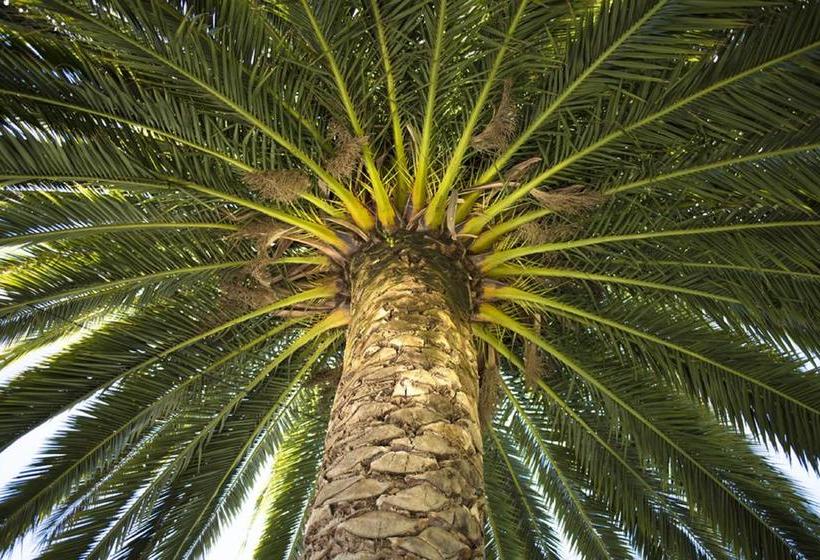 Bed and Breakfast Botanica Marlborough 9