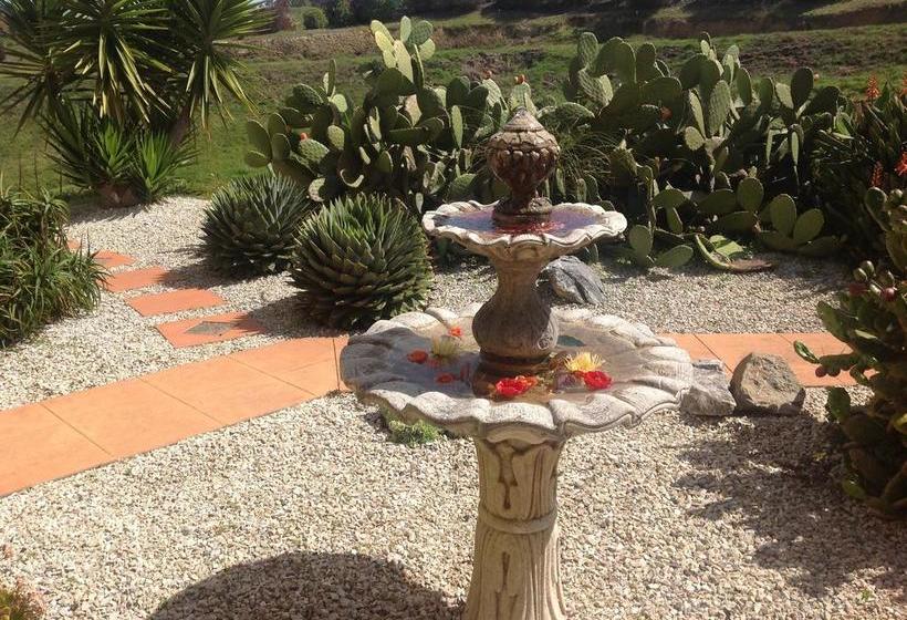 Mapua Hills Bed And Breakfast 16