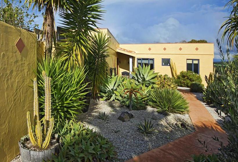 Mapua Hills Bed And Breakfast 19