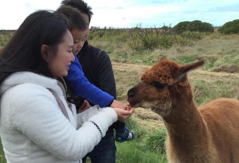 Bed and Breakfast Driftwood Retreat And Ecotours 17