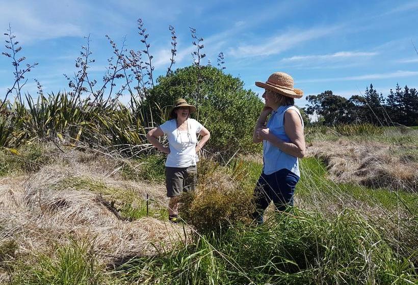 Bed and Breakfast Driftwood Retreat And Ecotours 20