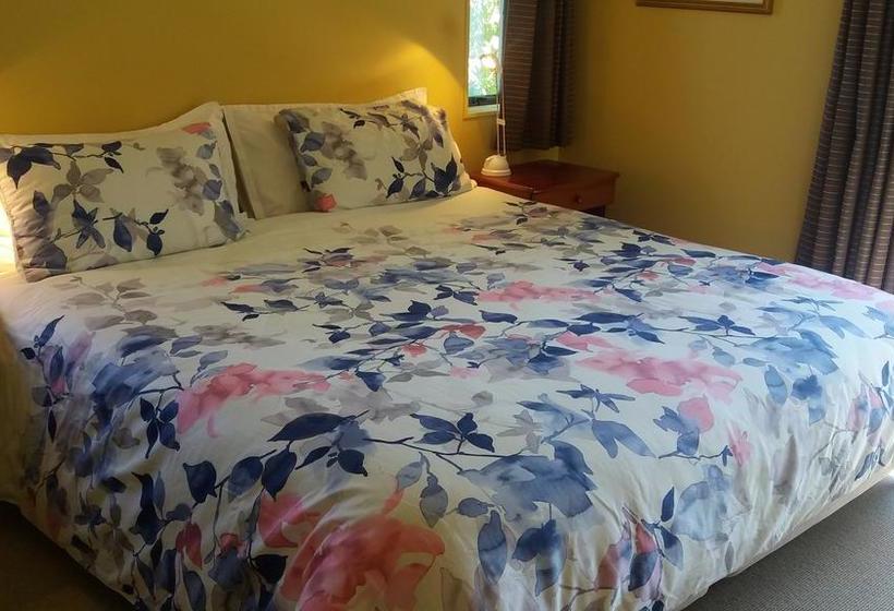 Bed and Breakfast Driftwood Retreat And Ecotours 3