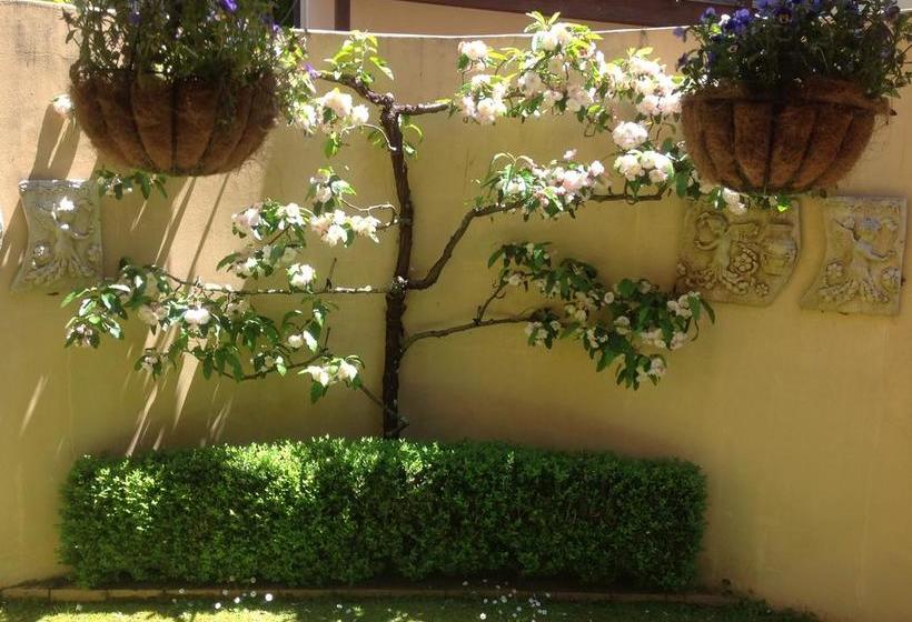 Bed and Breakfast Tuscany On Taupo 5