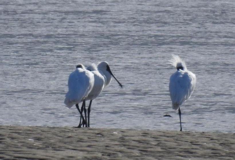 Collingwood Park Motel 3