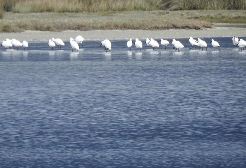 Collingwood Park Motel 4