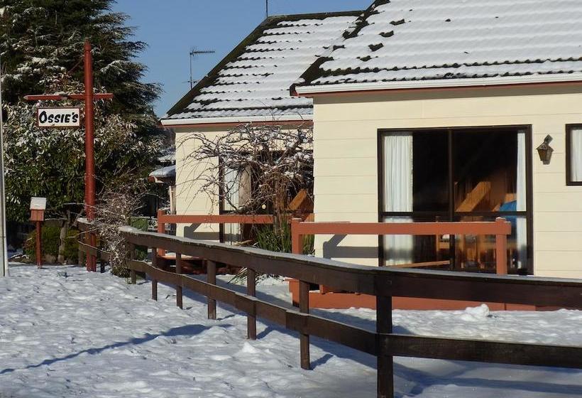Ossies Motels And Chalets 13