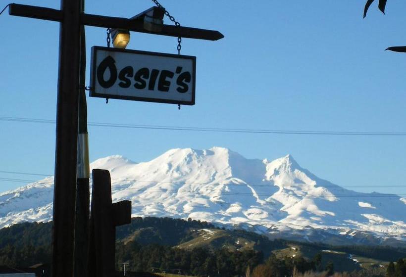 Ossies Motels And Chalets 15