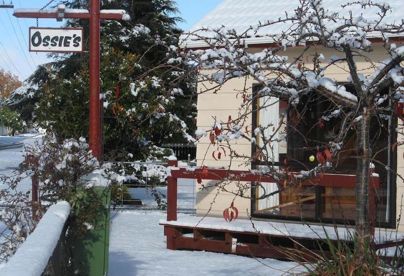 Ossies Motels And Chalets 5