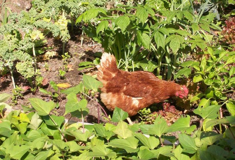 Bed and Breakfast Barrowmeade 14