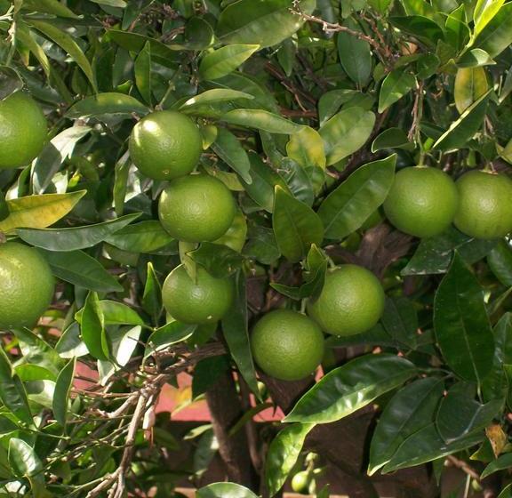 Bed and Breakfast Barrowmeade 18