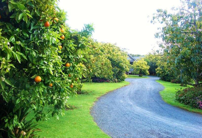 Kerigold Secluded Chalets Motel 5