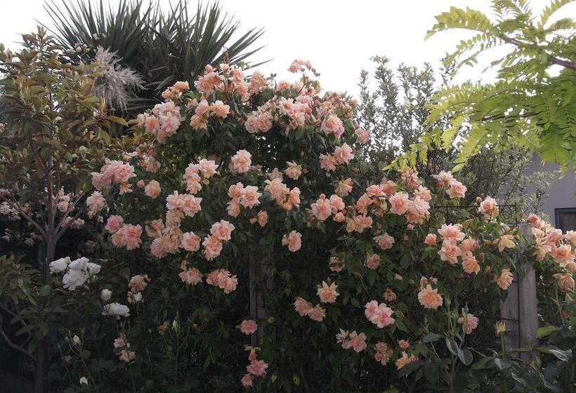 Montrose Bed & Breakfast Wanaka 16