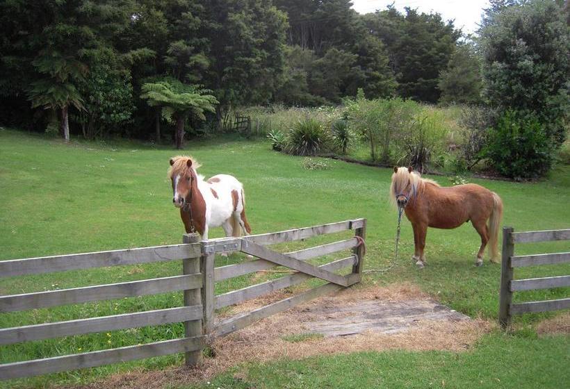 Hostel Little Earth Lodge 1