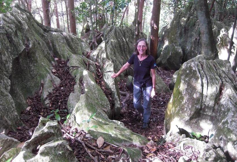 Hostel Little Earth Lodge 17