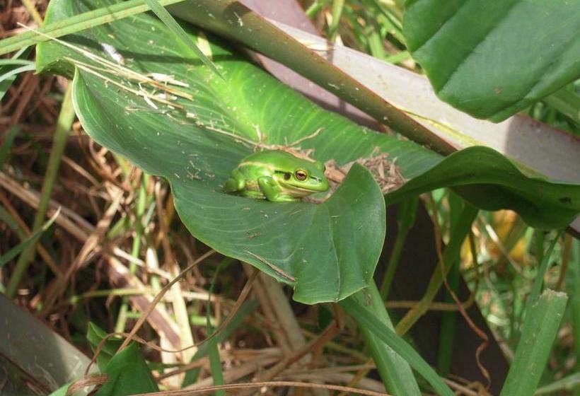 Hostel Little Earth Lodge 18