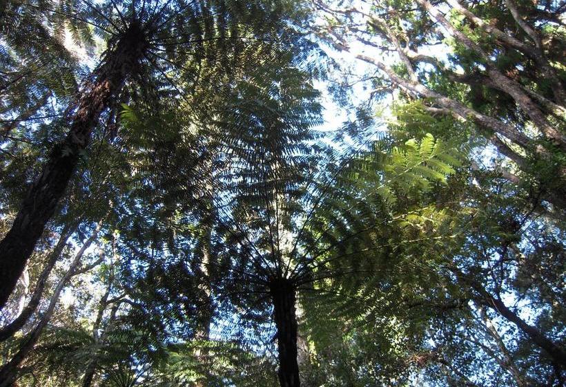 Hostel Little Earth Lodge 19