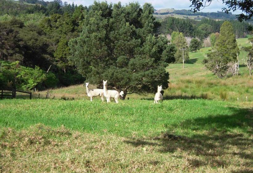 Hostel Little Earth Lodge 2